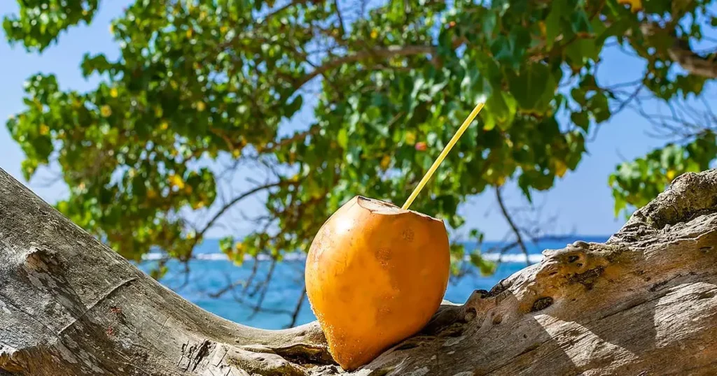 Explore Sri Lanka in 10 Days