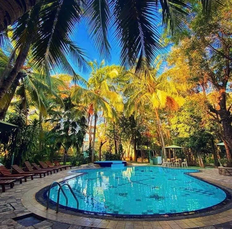 Hotel Eaden Garden